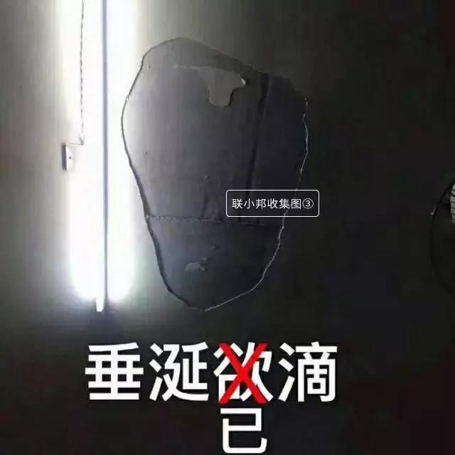 聯邦尚品道集成墻面 裝修案例