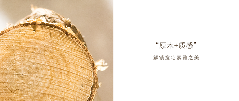 聯(lián)邦尚品道寬宅大板