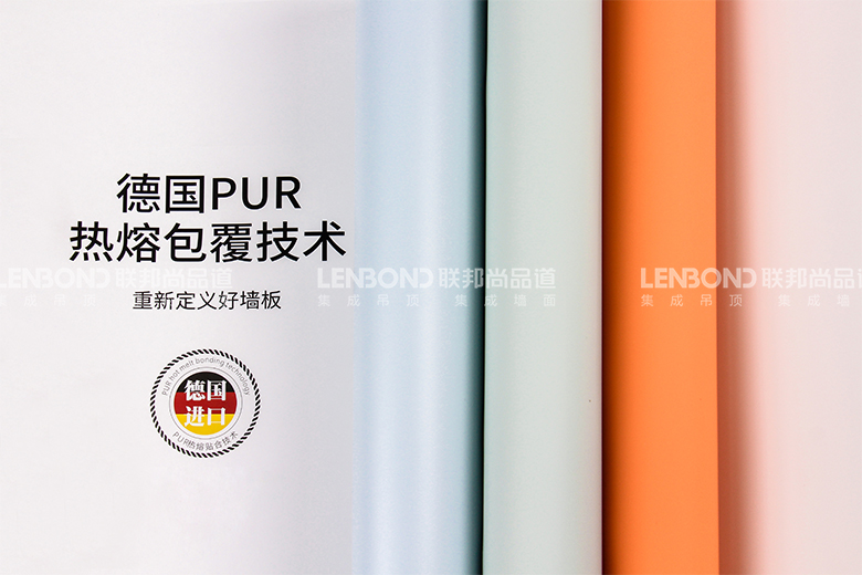 德國PUR熱熔包覆技術(shù).jpg